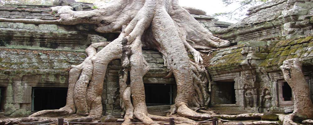 Ta Phrom